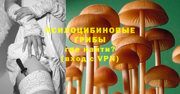 дурь Медвежьегорск